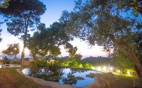 סלינה - מנתור בית אורן